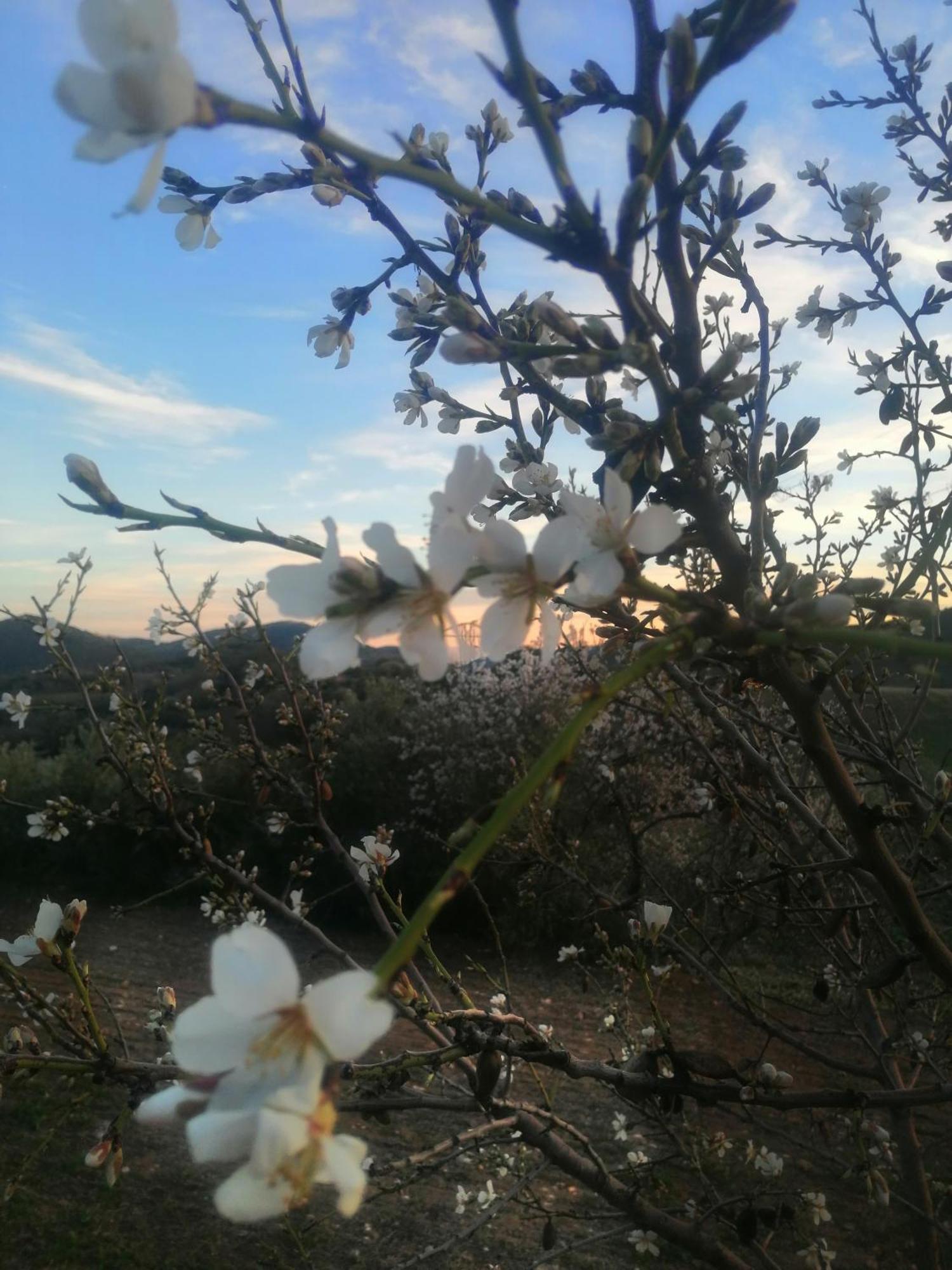 Appartamento Cal Benaiges Tartareu Esterno foto